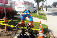 Gardena - Backflow Installation and Repair